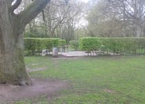 Bild zu Licht- und Luftbad im Stadtpark