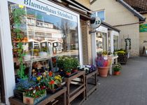 Bild zu Blumenhaus Steinbach