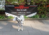 Bild zu RED DOG Bar & Café