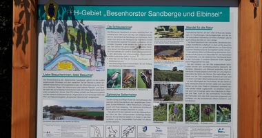 Naturschutzgebiet Besenhorster Sandberge und Elbinsel in Geesthacht