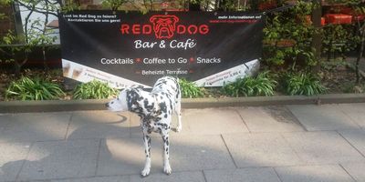 RED DOG Bar & Café in Hamburg