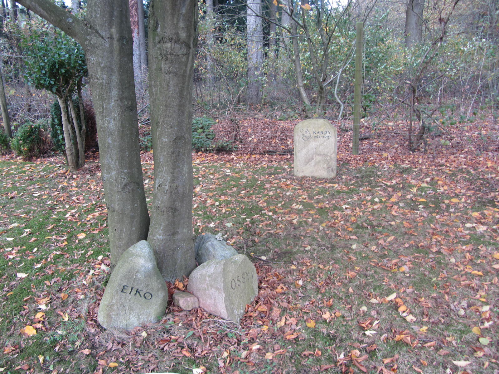 Bild 1 Tierfriedhof Nord in Norderstedt