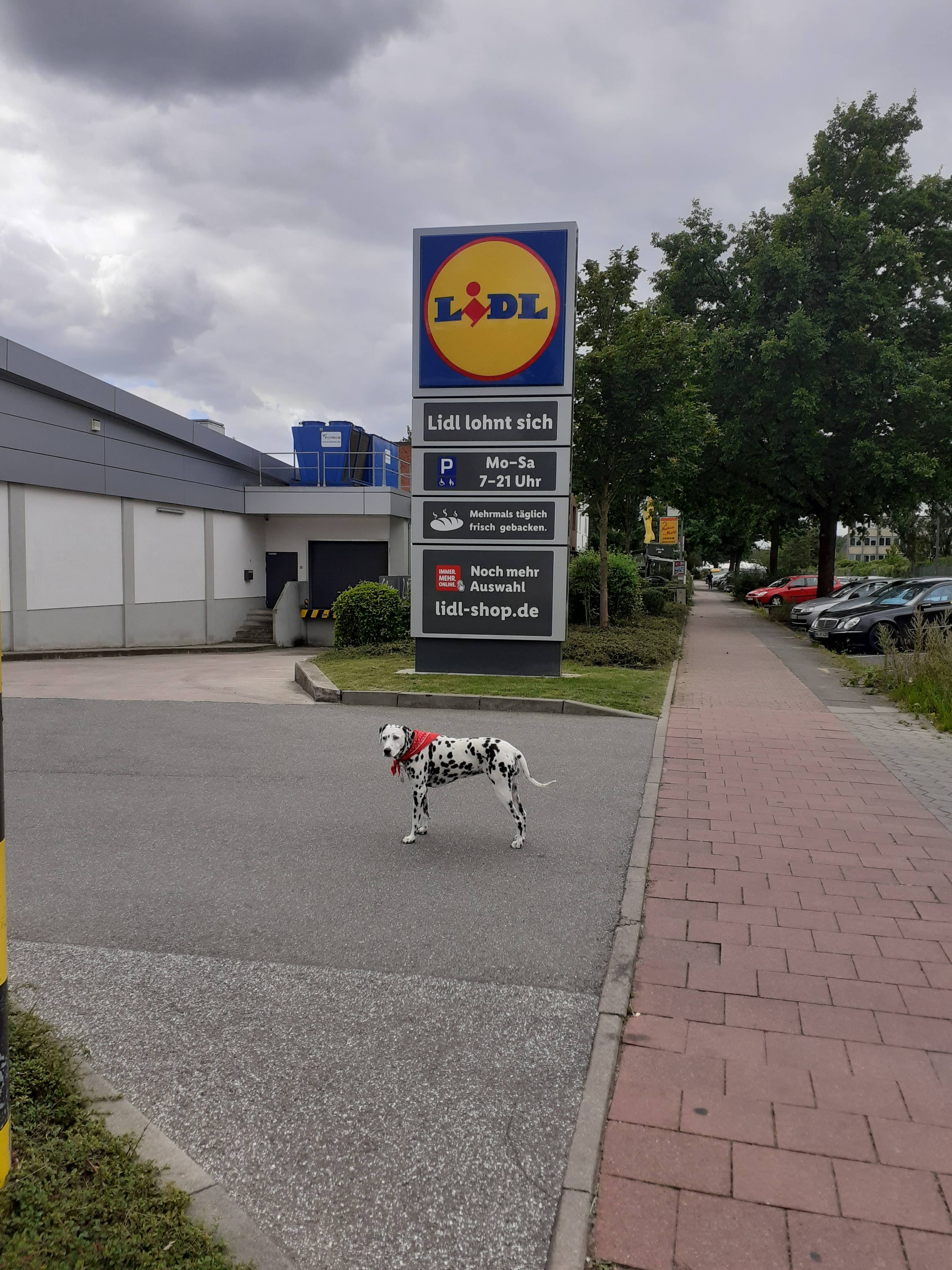 Bild 1 Lidl in Hamburg