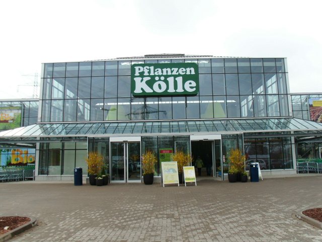 Bild 7 Pflanzen Kölle Gartencenter GmbH & Co. KG in Hamburg