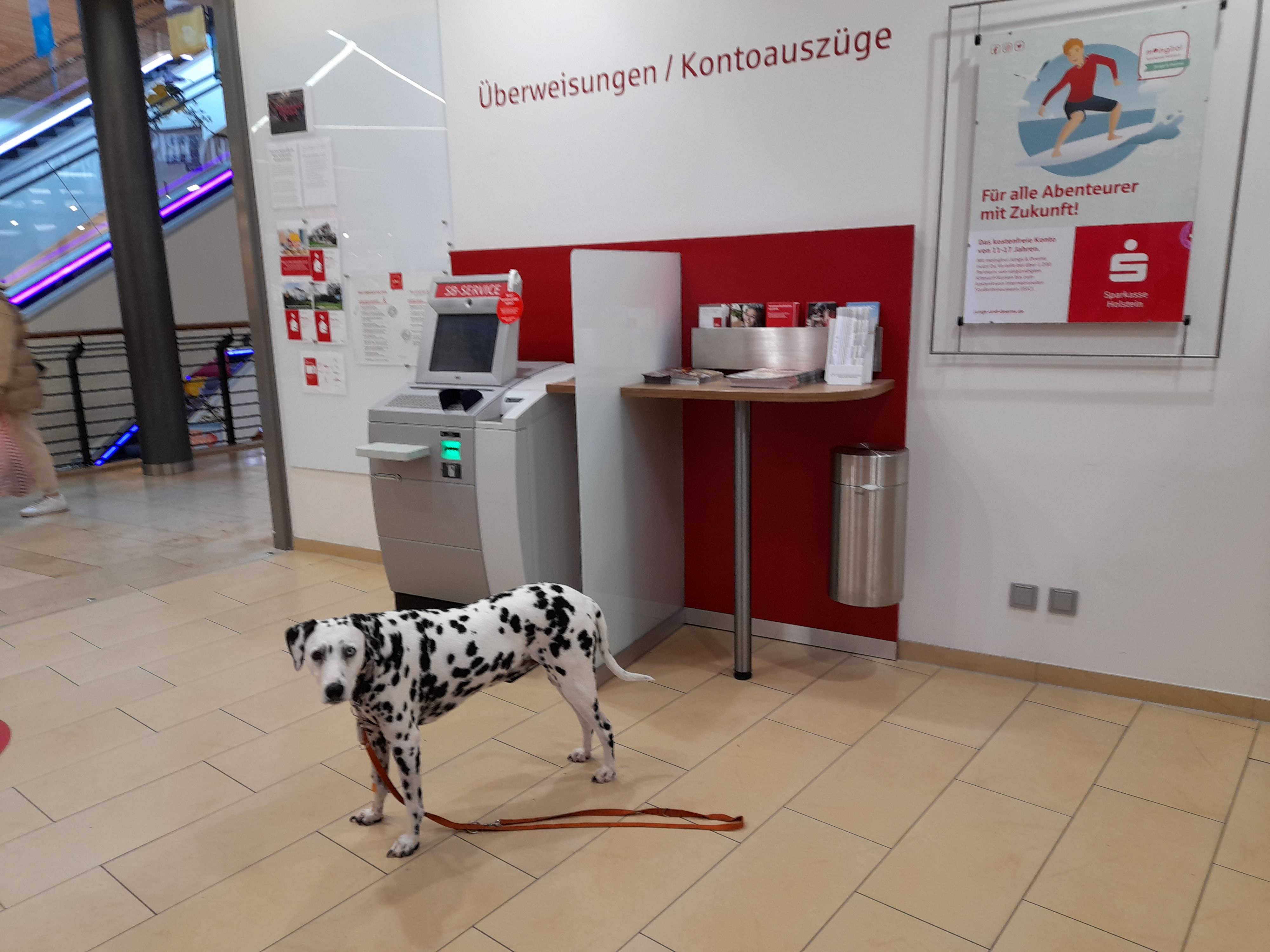 Bild 1 Sparkasse Holstein
