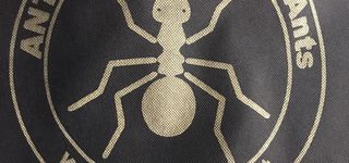 Bild zu Antstore World of Ants Fachhandel für Ameisen