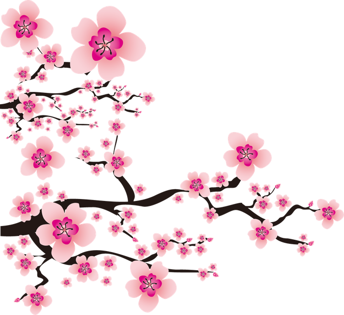 Nutzerbilder Die Kirschblüte Mojgan Sabzalivand Wellnesspraxis