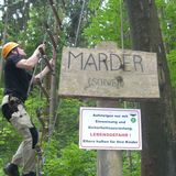 Abenteuer im Wald - Hochseilgarten in Kenzingen