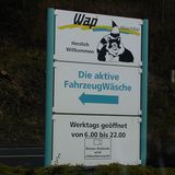 WAP Waschbär in Meinerzhagen