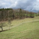 Arche Noah Marienberge - Naturnahes Familienferienhaus in Elkhausen Gemeinde Katzwinkel an der Sieg