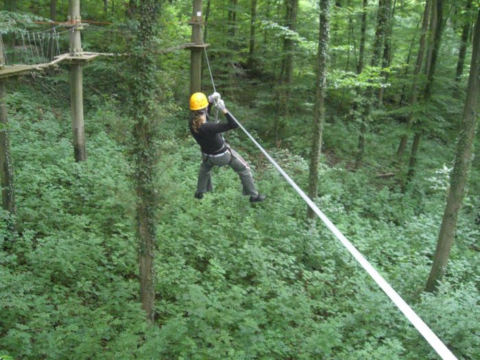 Abenteuer im Wald - Hochseilgarten