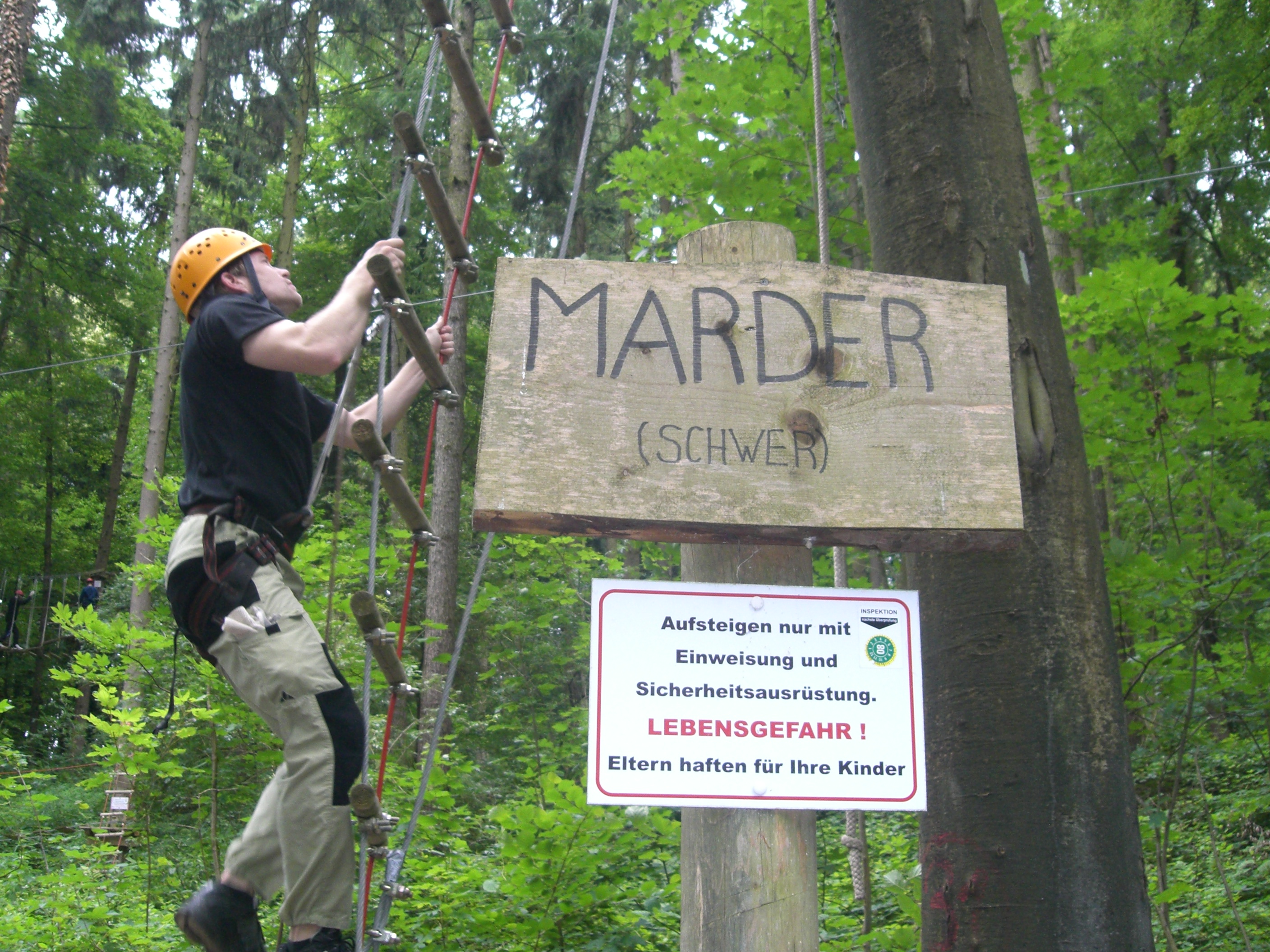 Bild 1 Abenteuer im Wald Kenzingen in Kenzingen