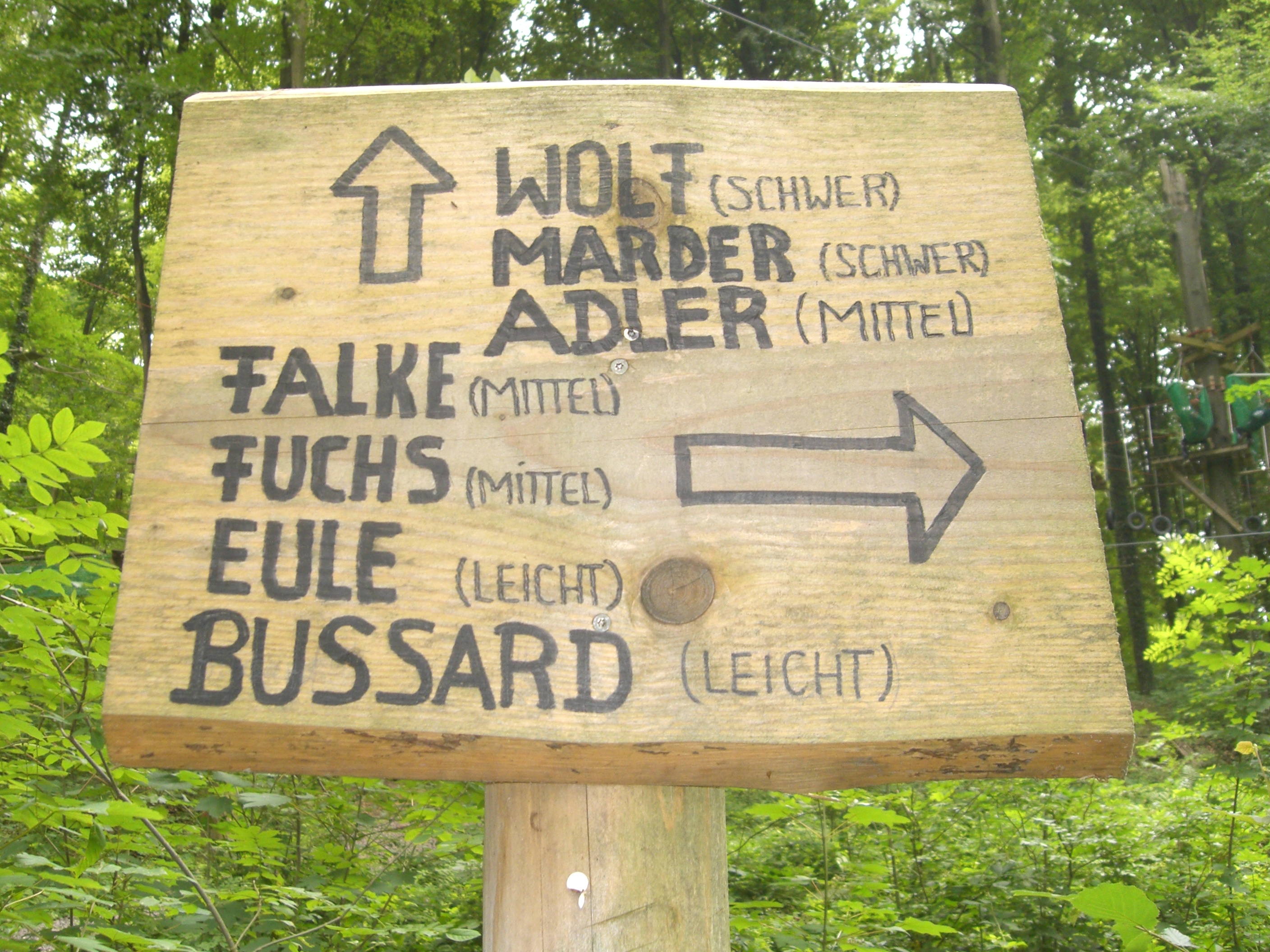 Bild 9 Abenteuer im Wald Kenzingen in Kenzingen