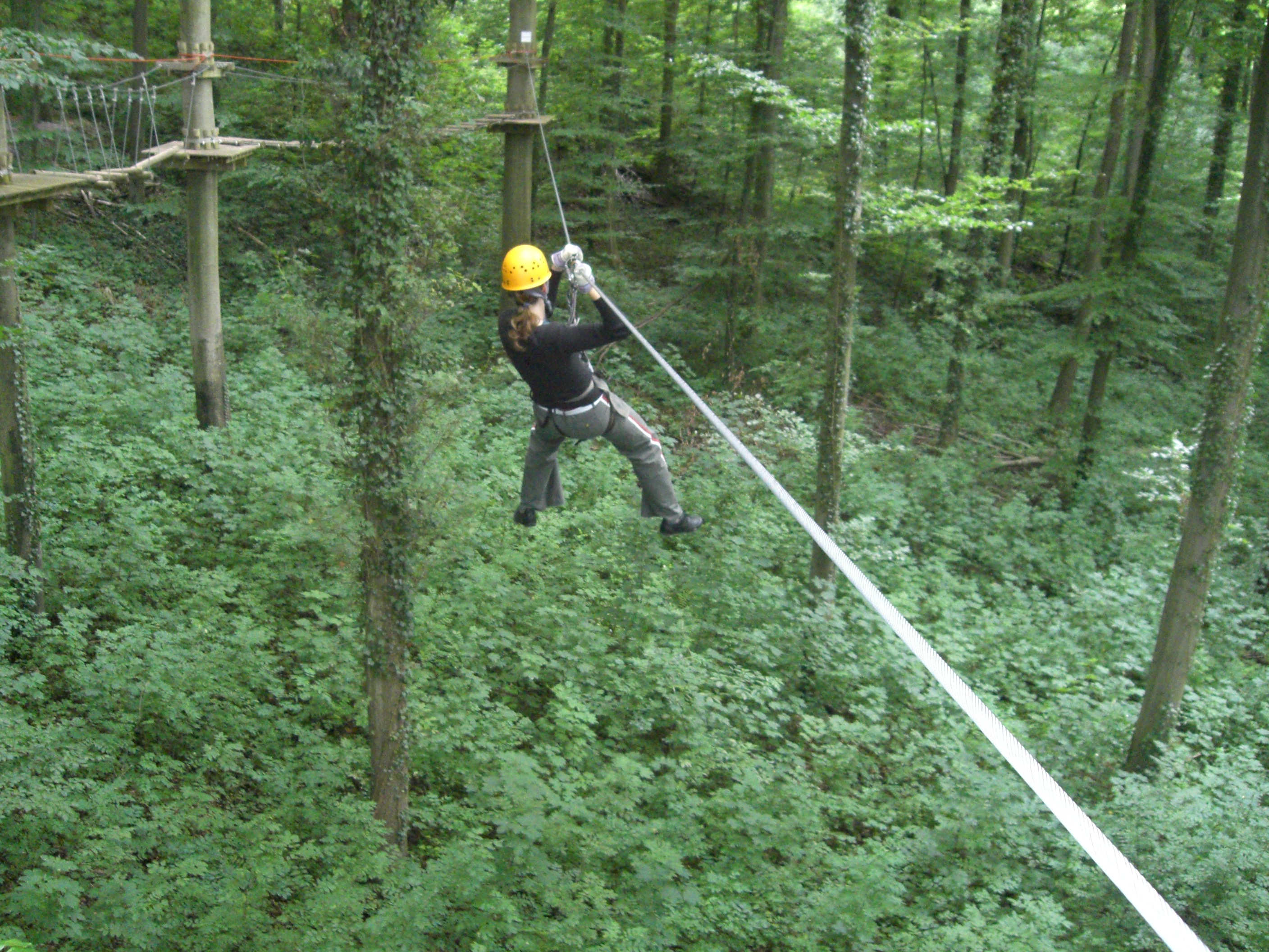 Bild 3 Abenteuer im Wald Kenzingen in Kenzingen