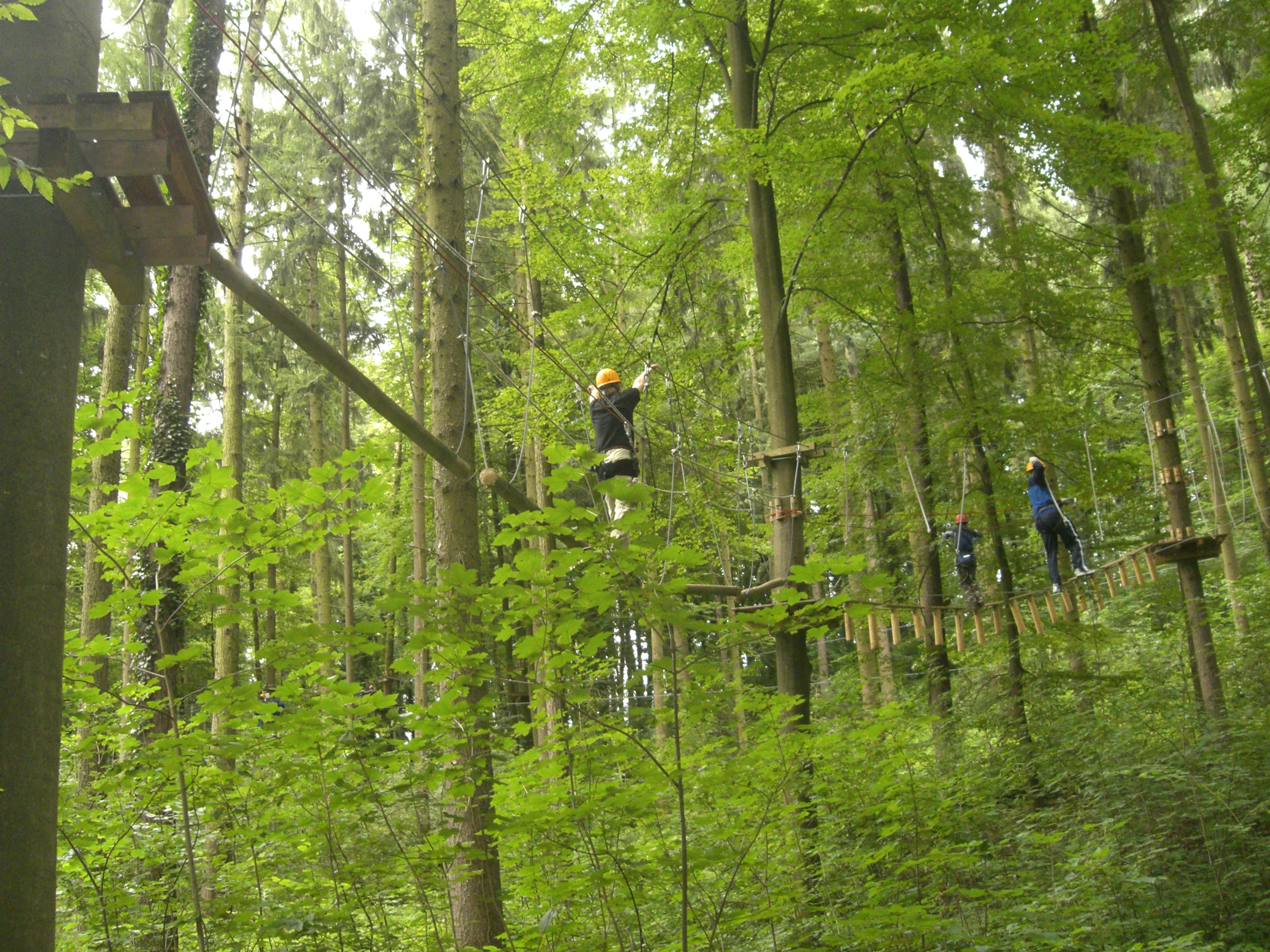 Bild 12 Abenteuer im Wald Kenzingen in Kenzingen