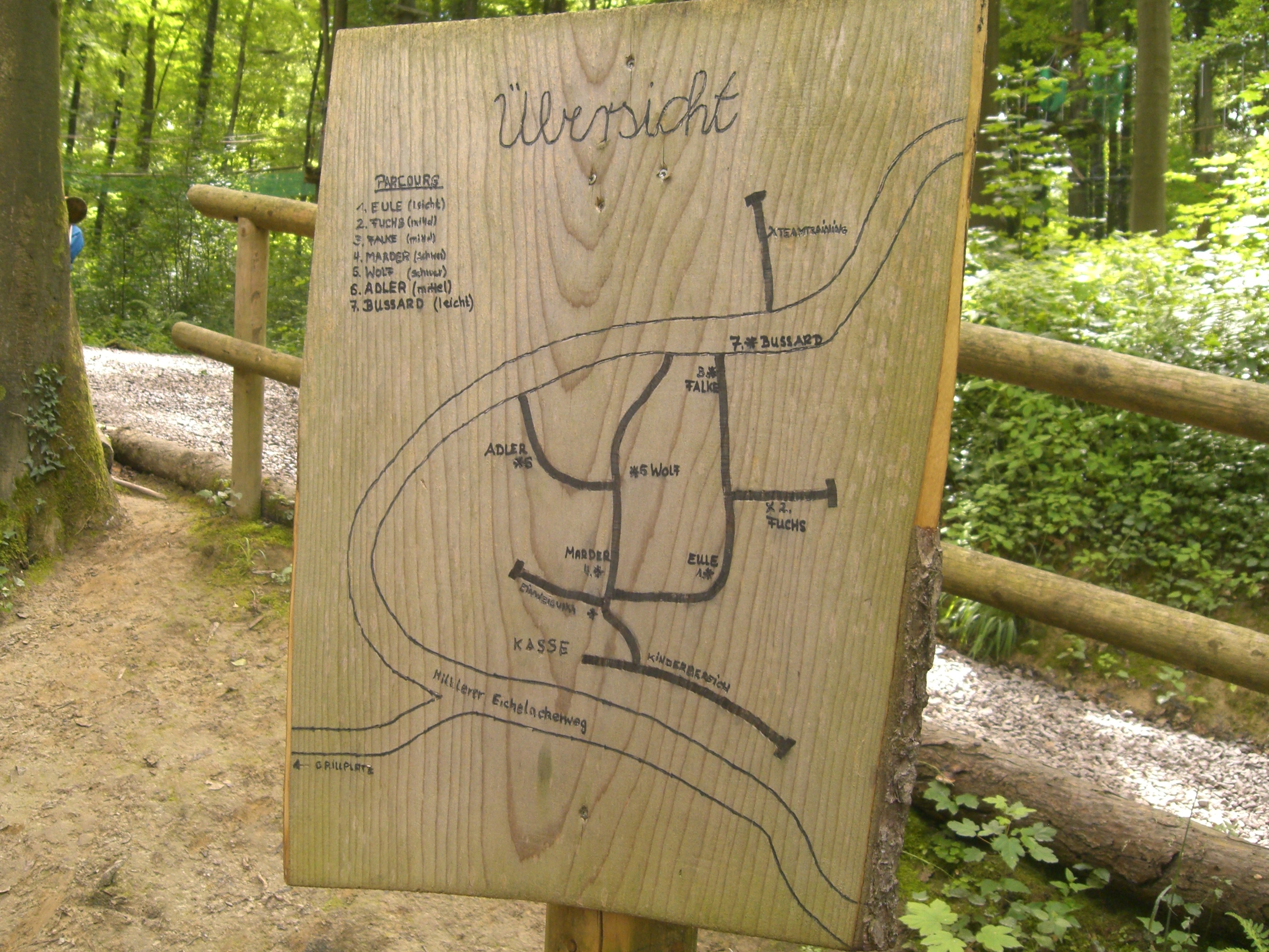 Bild 6 Abenteuer im Wald Kenzingen in Kenzingen
