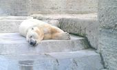 Nutzerbilder Münchener Tierpark Hellabrunn