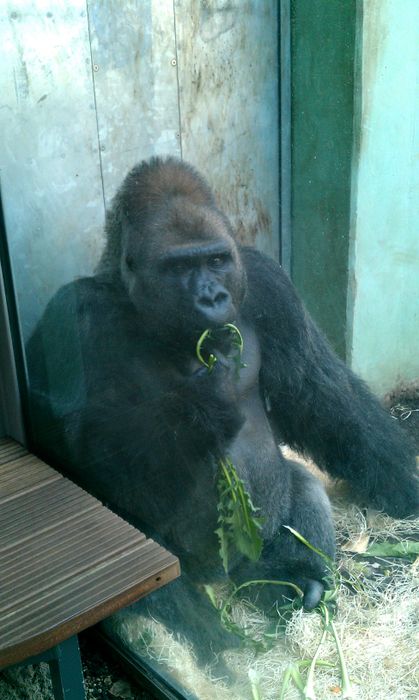 Nutzerbilder Münchener Tierpark Hellabrunn