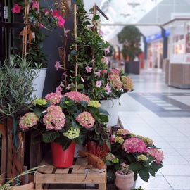 Blumenhandel Zahn GbR in Brandenburg an der Havel