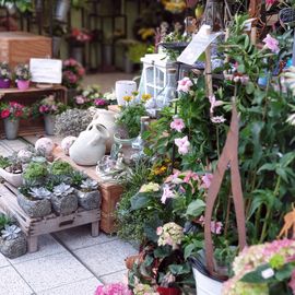 Blumenhandel Zahn GbR in Brandenburg an der Havel