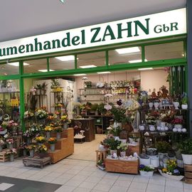 Blumenhandel Zahn GbR in Brandenburg an der Havel