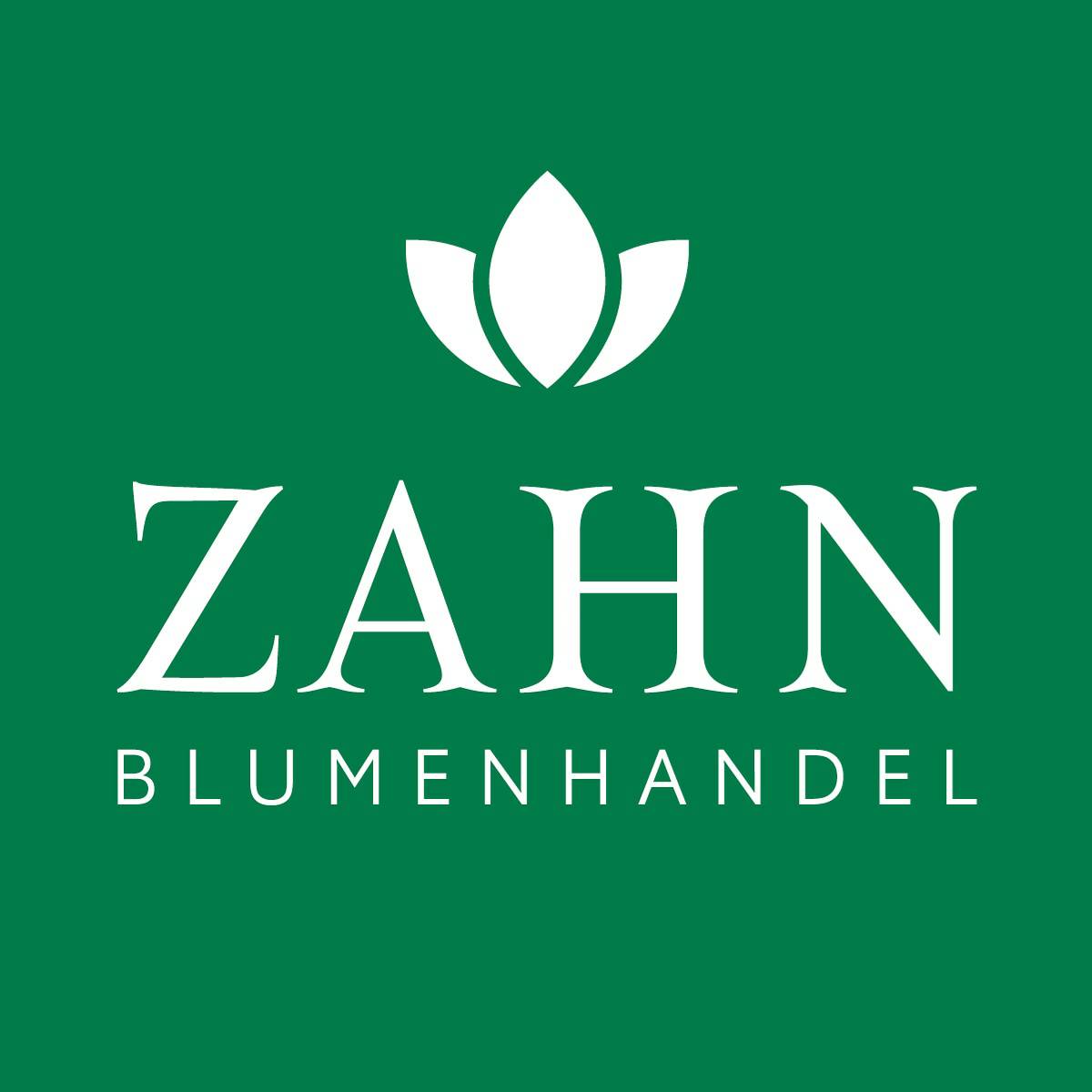 Bild 192 Blumenhandel Zahn GbR in Brandenburg an der Havel