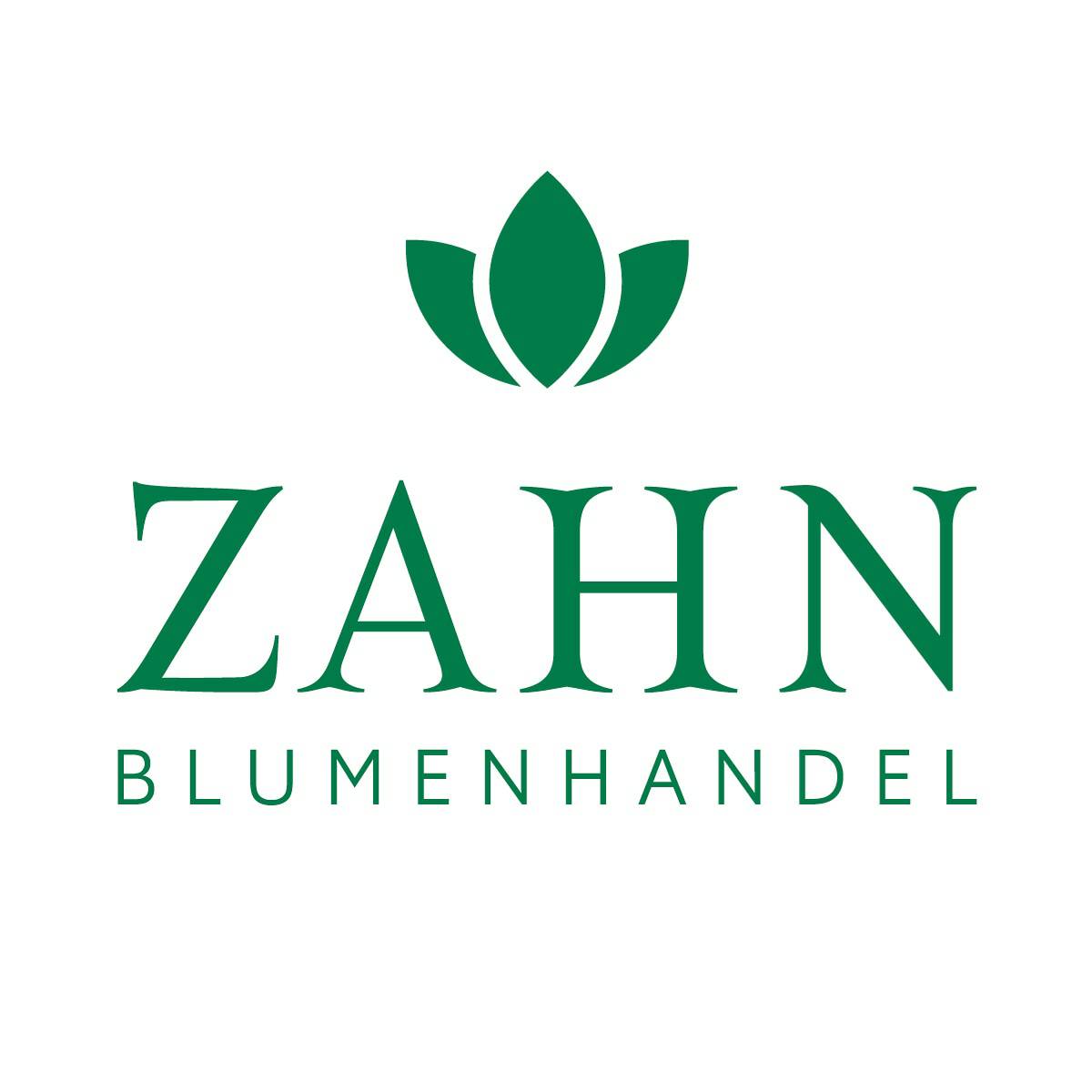 Bild 41 Blumenhandel Zahn GbR in Brandenburg an der Havel