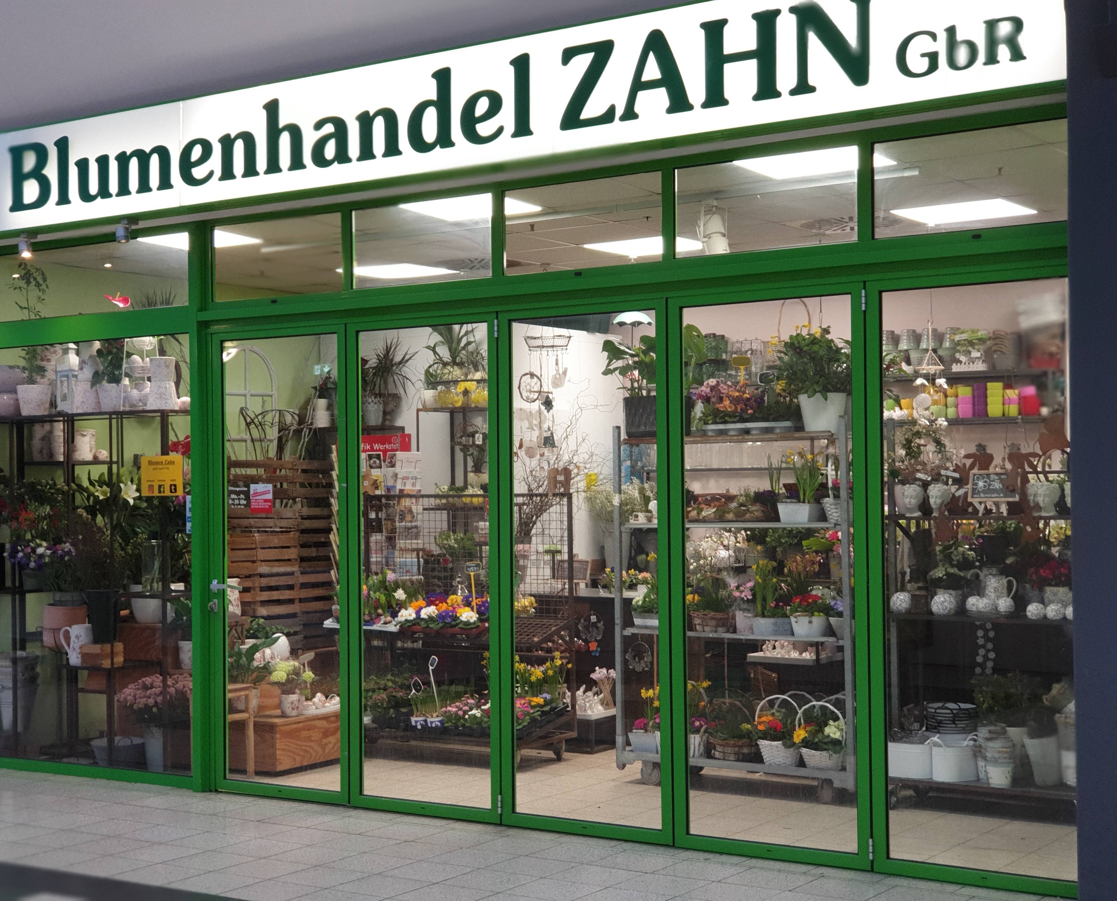 Bild 16 Blumenhandel Zahn GbR in Brandenburg an der Havel