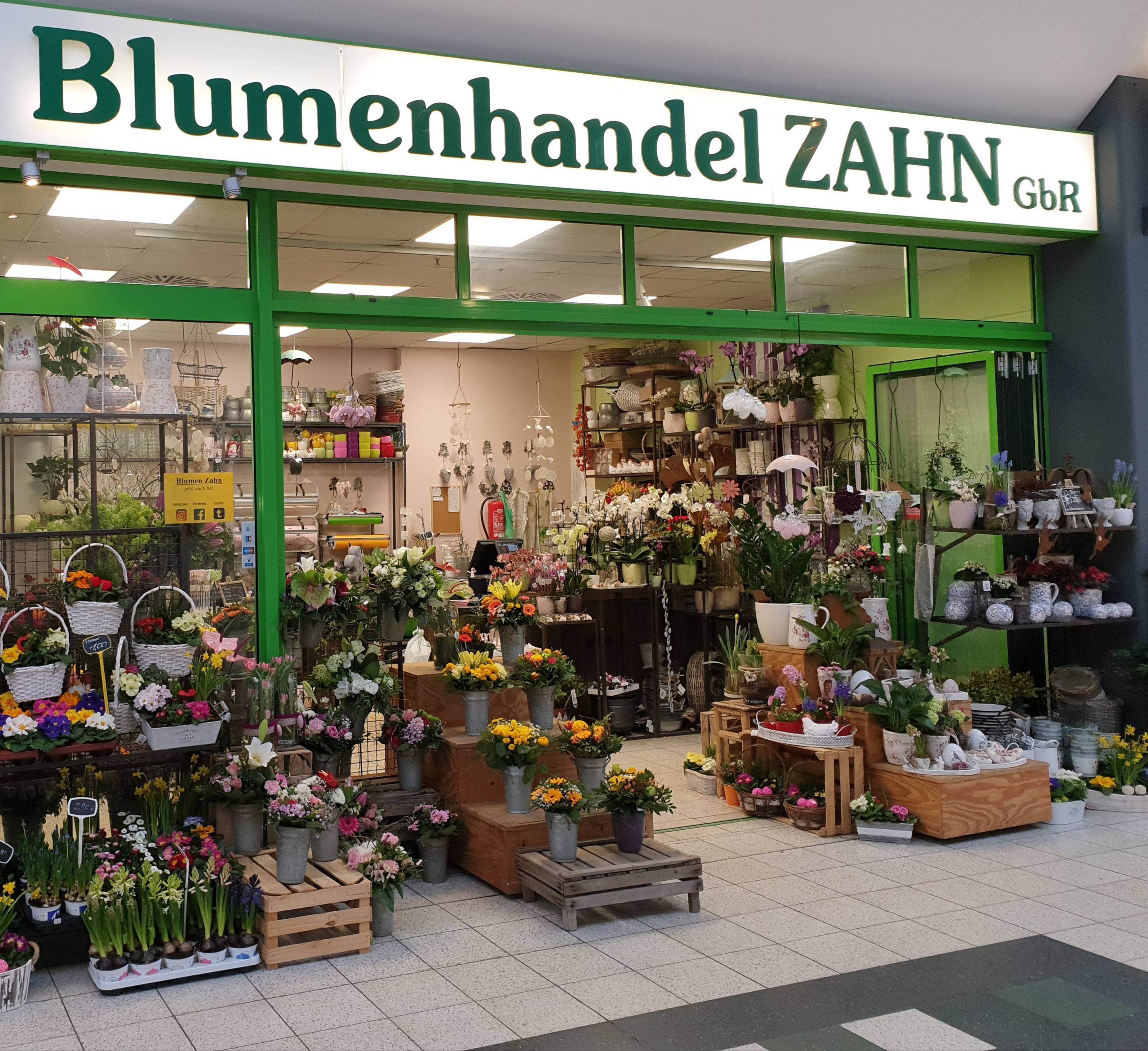 Bild 8 Blumenhandel Zahn GbR in Brandenburg an der Havel