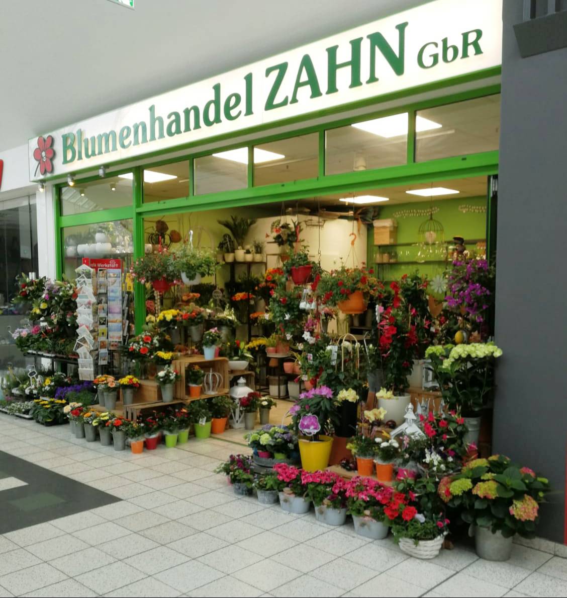 Bild 26 Blumenhandel Zahn GbR in Brandenburg an der Havel