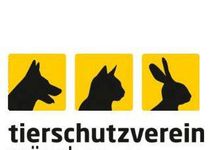 Bild zu Tierschutzverein München e.V.