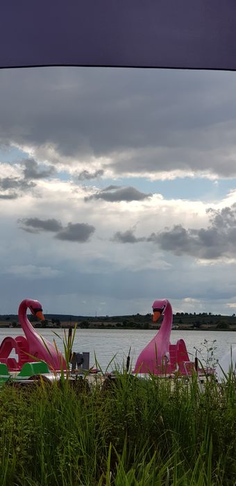 Seeburg Nordstrand Tretboot Verleih