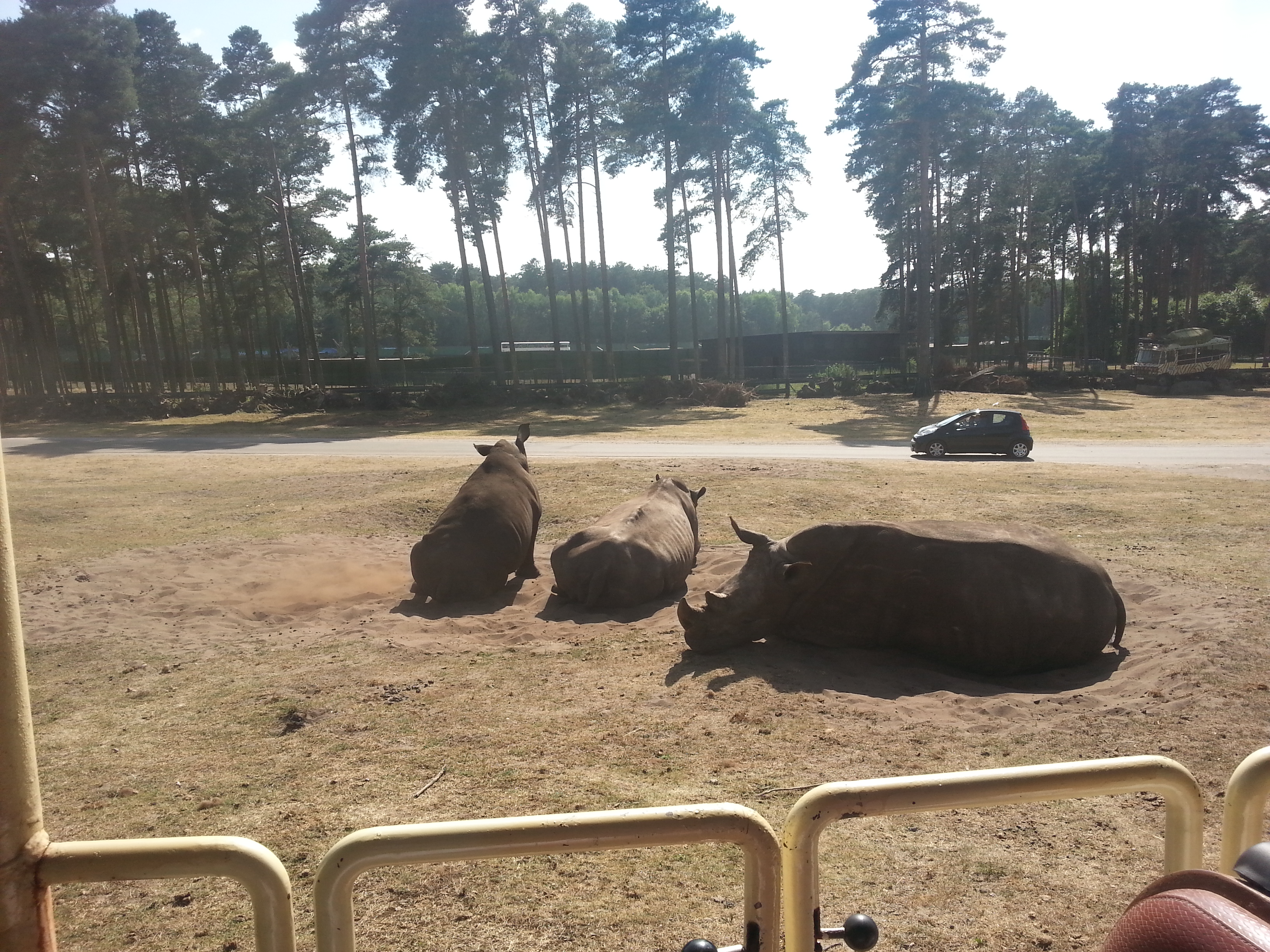 Bild 63 Serengeti-Park Hodenhagen GmbH in Hodenhagen