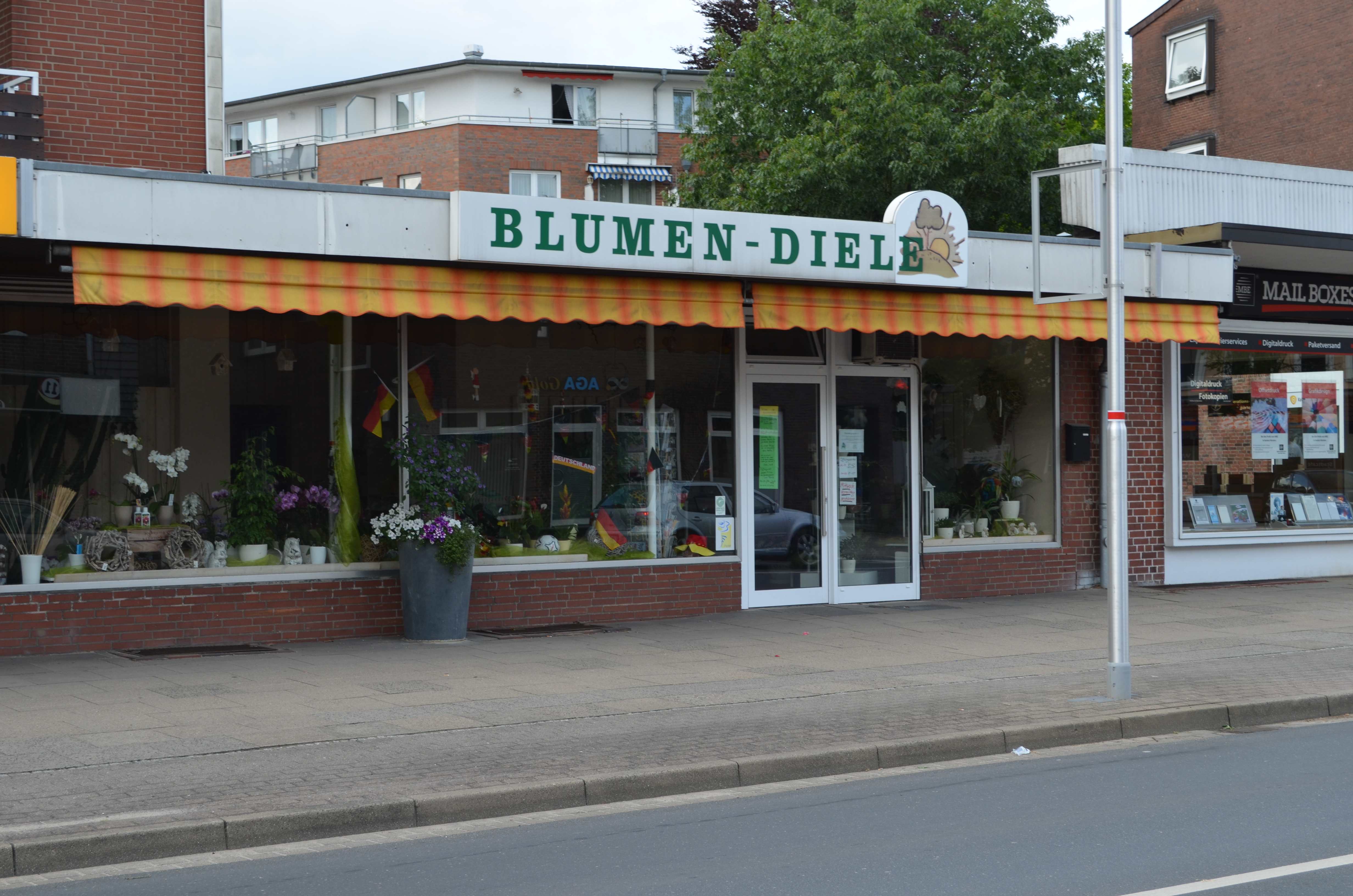 Bild 1 Blumen-Diele in Buchholz in der Nordheide