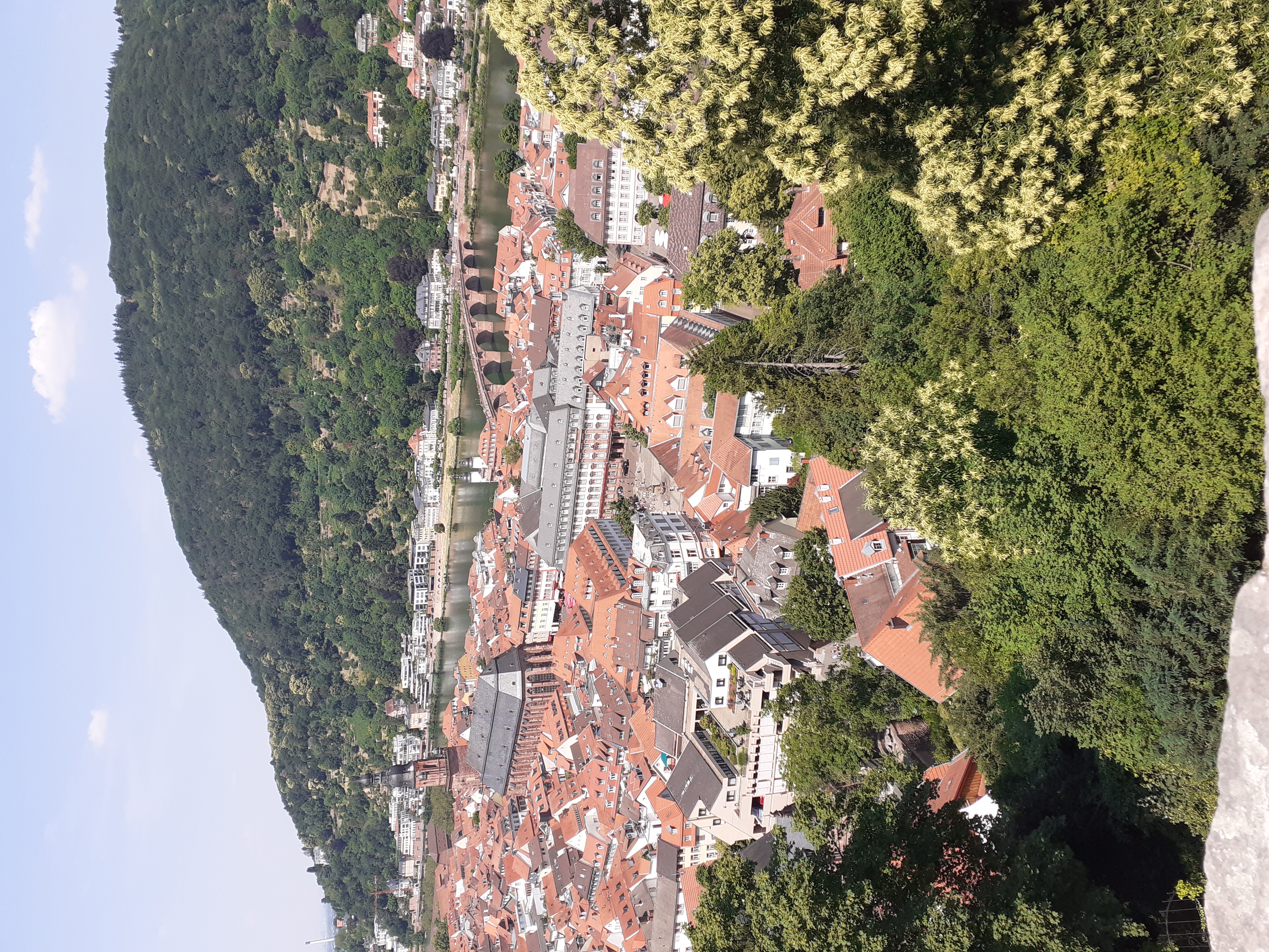 Bild 5 Schloss Heidelberg in Heidelberg