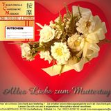 TCM-Massage in Aschaffenburg