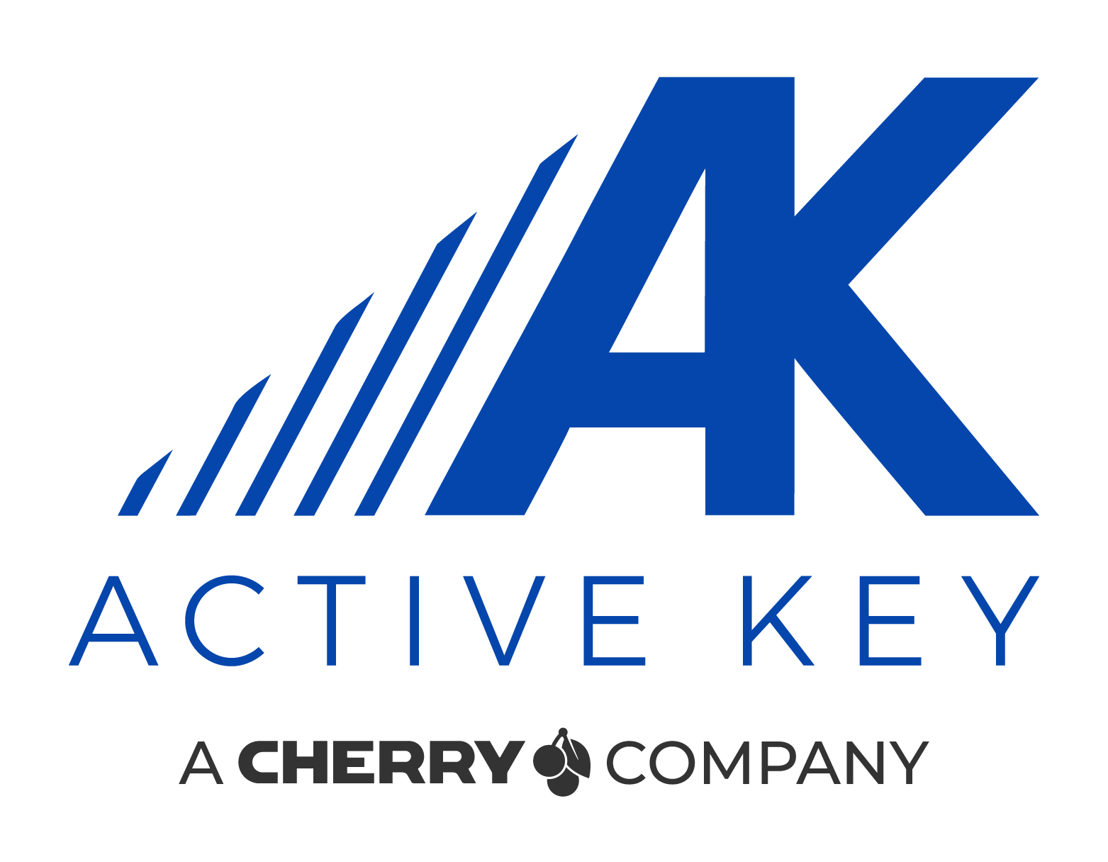 Bild 1 Active Key GmbH & Co. KG in Pegnitz
