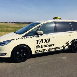 Taxi u. Krankenbeförderung Inh.David Schubert in Fliegerhorst Stadt Oschatz
