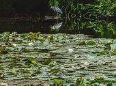 Nutzerbilder Ofenhepp in Schloss Lüntenbeck