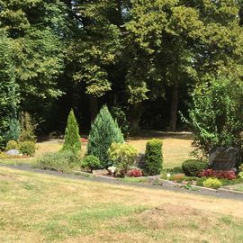 Friedhof Kohlenstr. in Wuppertal