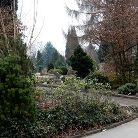 Friedhof Kohlenstr. in Wuppertal