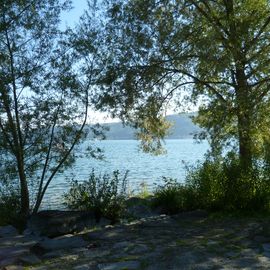 nochmals ein idyllisches Bild vom Bodensee