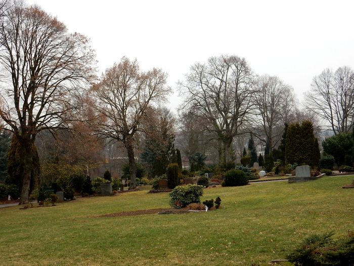 Friedhof Kohlenstr.