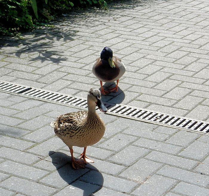 Nutzerbilder Klinik im Park GmbH AHB- und Rehaklinik