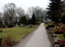 Bild zu Friedhof Kohlenstr.