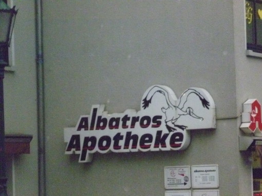 Bild 103 Albatros in Wuppertal