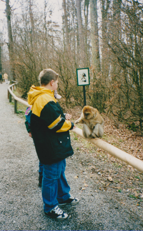 Sohn füttert Affen
am Affenberg