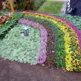 Blumenhaus Thöming Inh. Irina Krämer in Rendsburg