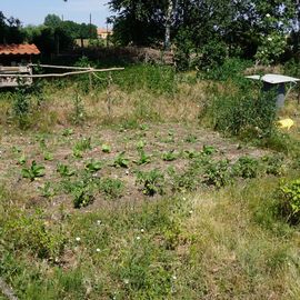 Landesgartenschau LAGA Beelitz in Beelitz in der Mark