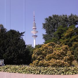 Fernsehturm aus Planten und Blomen fotografiert.